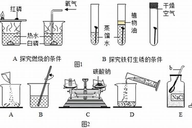 什么是磷肥和钾肥