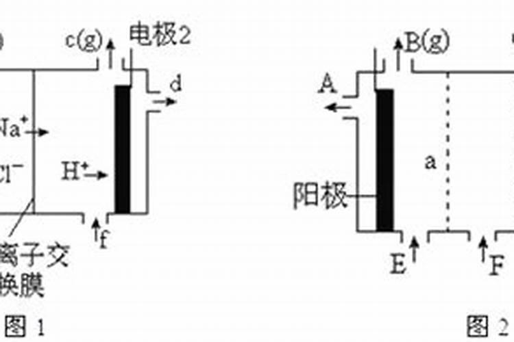 什么是磷肥和钾肥