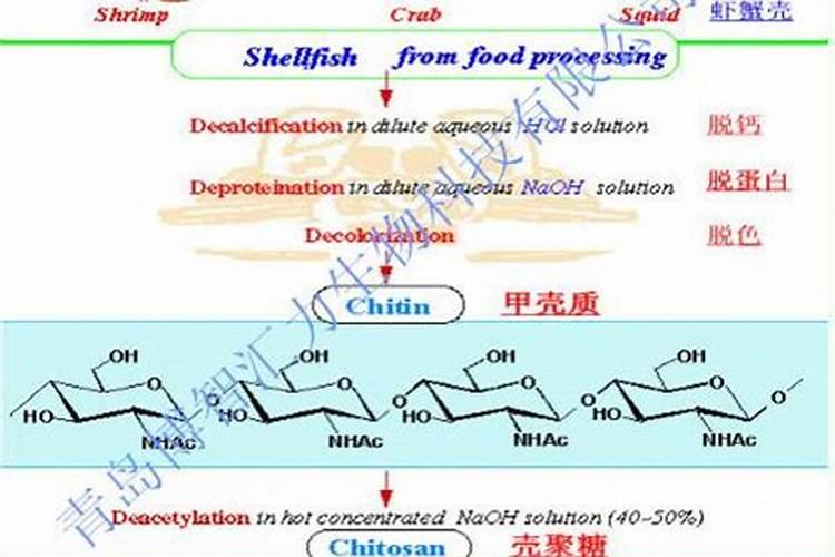 黄瓜瓜秧尖枯萎是怎么回事？怎样治疗