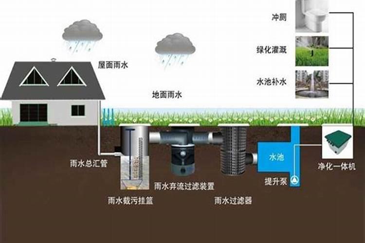 雨水放的时间长了能浇花吗