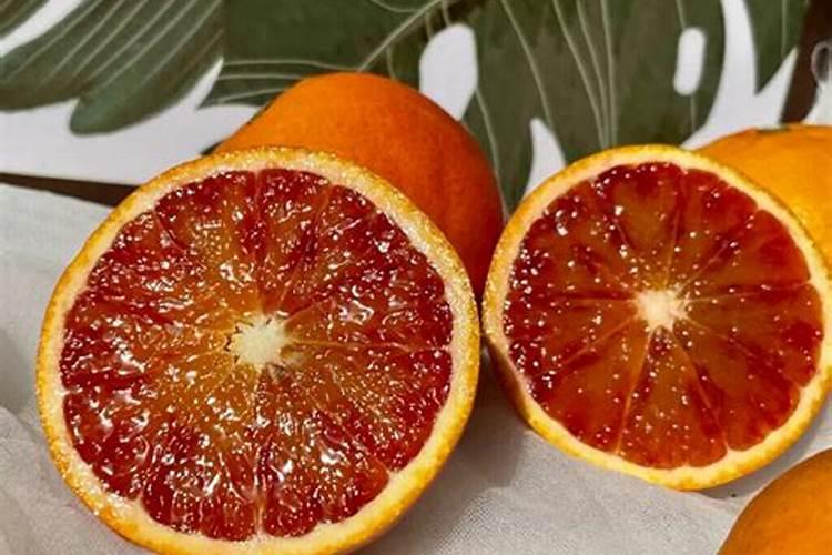 血橙树怎样施肥