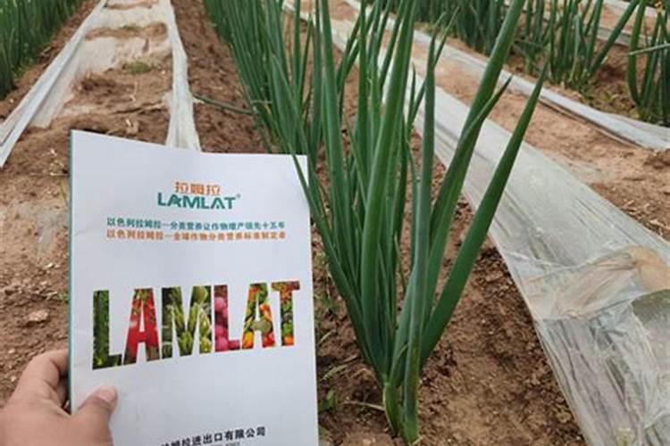 为什么果蔬健水溶肥效果这么好,最近身边很多人都在用,好在哪里？