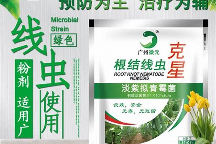 根结线虫最大克星