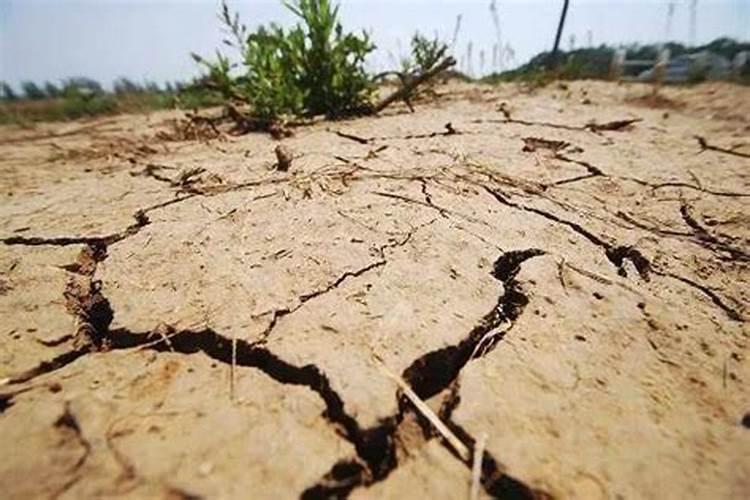 改善土壤板结用什么肥料