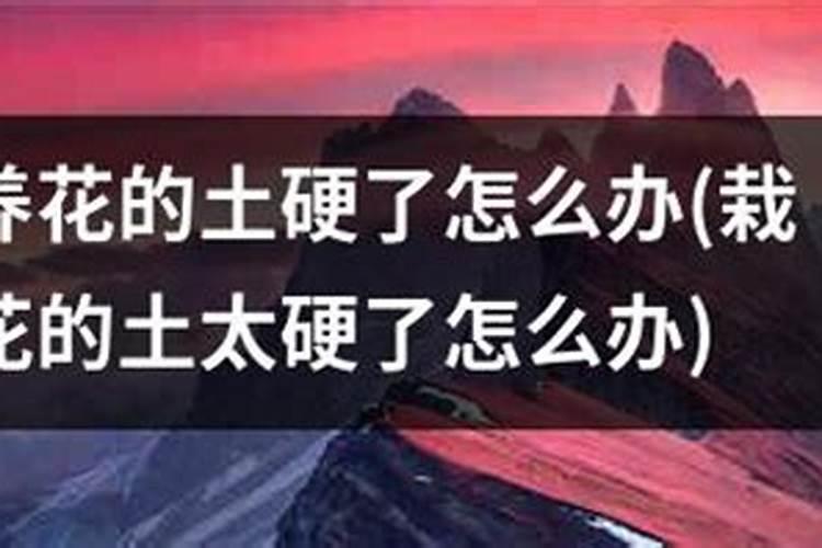 养花施什么肥好一点？