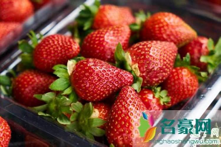新栽枣树多久才发芽 新栽枣树几天发芽？