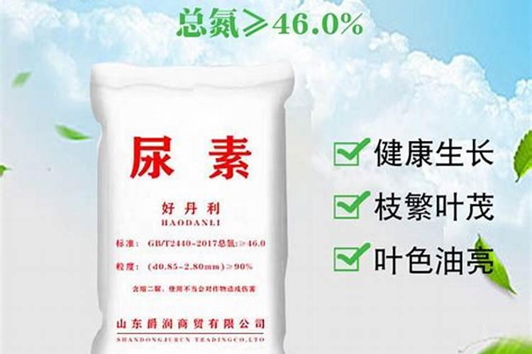 刚买的石榴树,叶子打卷了,是不是有什么病虫害？要怎么整？谢谢!