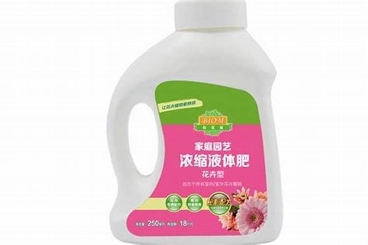 水养富贵竹如何施肥