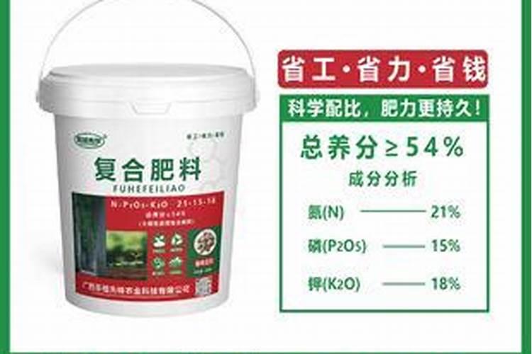 桉树用什么肥料最好