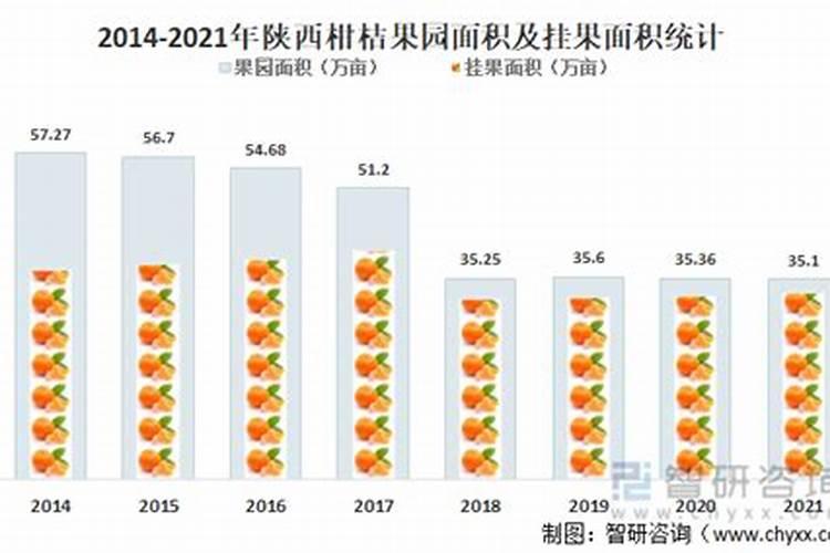 柑橘专用促花叶面肥柑橘促花用什么肥柑橘促花肥批发