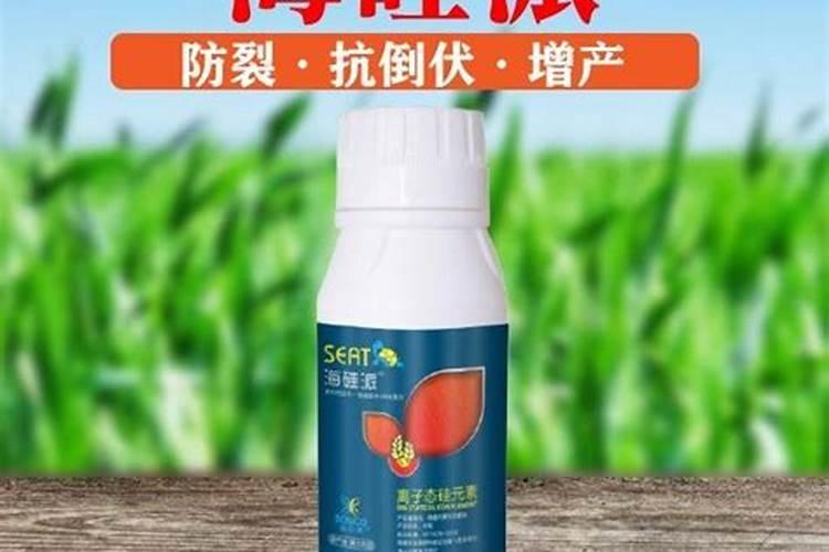 中国水溶肥的前十名中国十大水溶肥排名