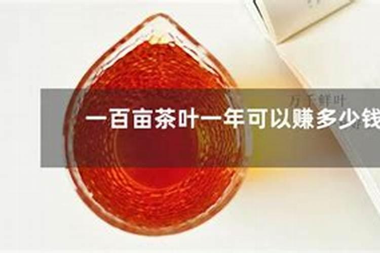 茶园施肥需要注意什么