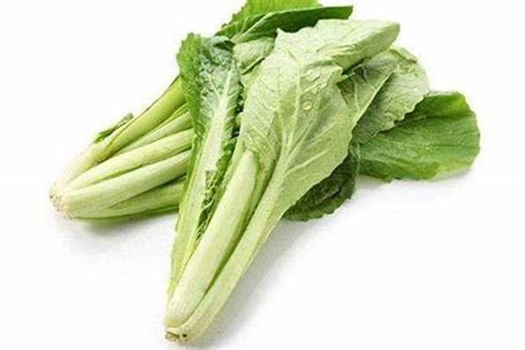 小白菜使用芸苔素内酯的功效和技术及注意事项有哪些？