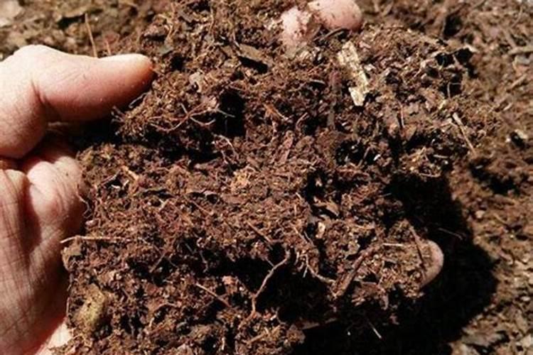 求土壤里腐殖酸含量测定方法和提取方法