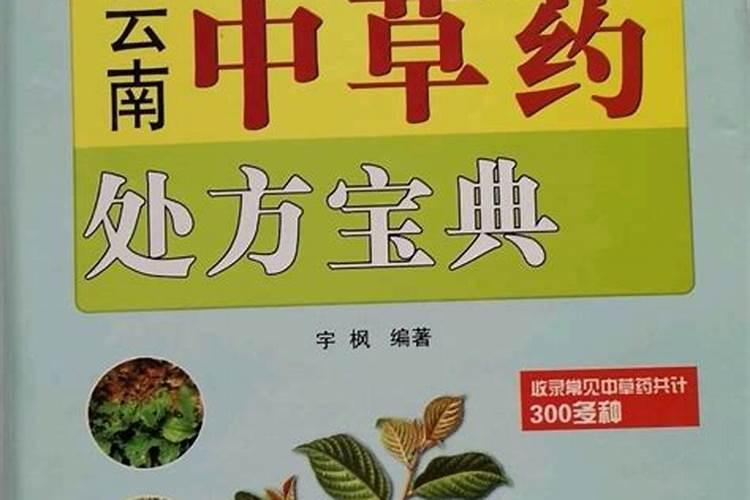 白芨直播育苗一亩移栽多少亩