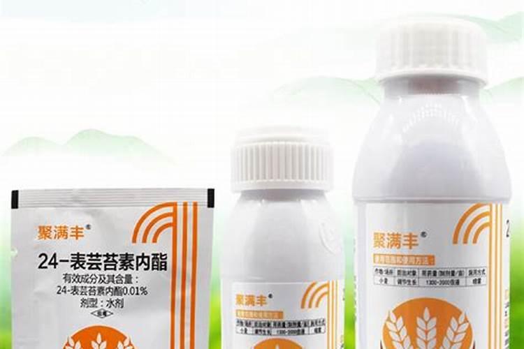 芸苔素能解肥害