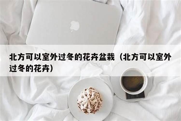 化工店里买的硼酸可以兑水浇花吗？