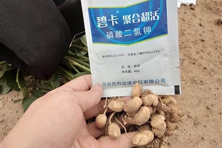 花生用什么叶面肥好 花生施肥注意事项