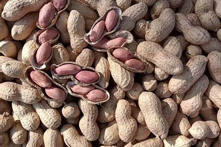 花生叶面肥的最佳配方