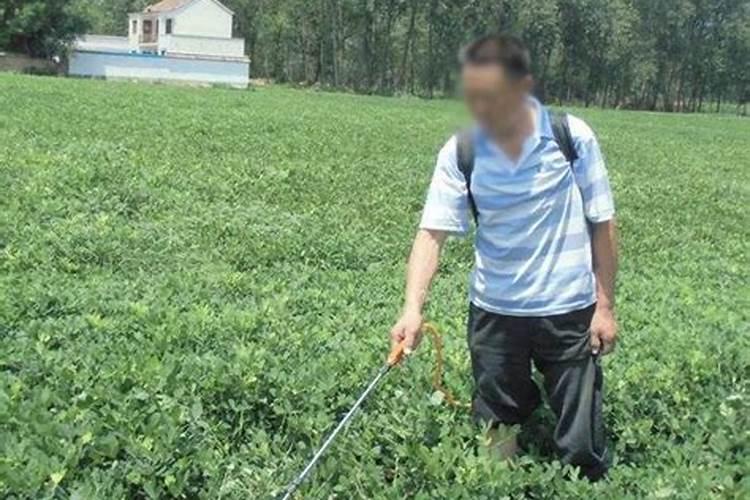 哪些情况需要打叶面肥？叶面肥什么时间用好呢？