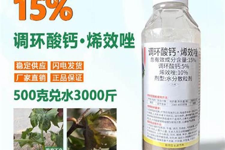 植物冬天叶片上可以喷水吗