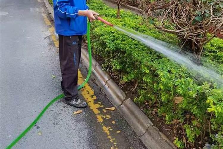 农村蒜地什么时间浇返青水