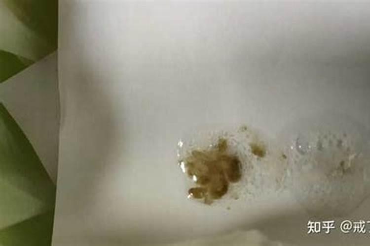 黑色颗粒有机肥怎么用
