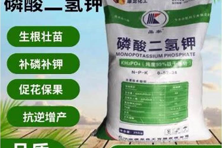 打韭菜叶面肥40斤水放多少,白醋
