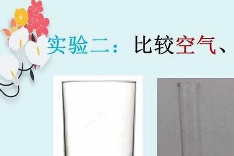《蚂蚁庄园》水田淹水期不适用哪种氮肥？