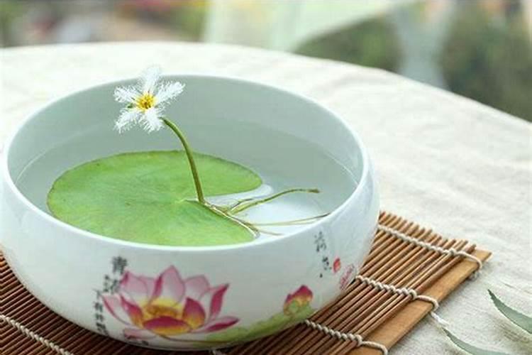 一叶莲发黄怎么补救