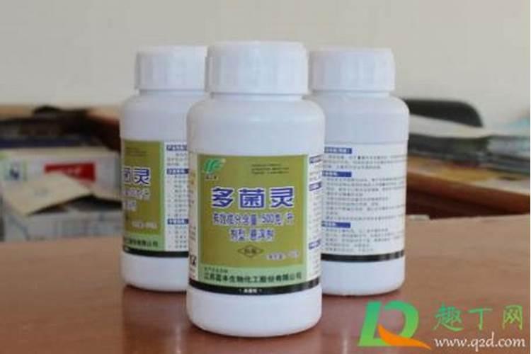 多菌灵可以浇玫瑰花吗