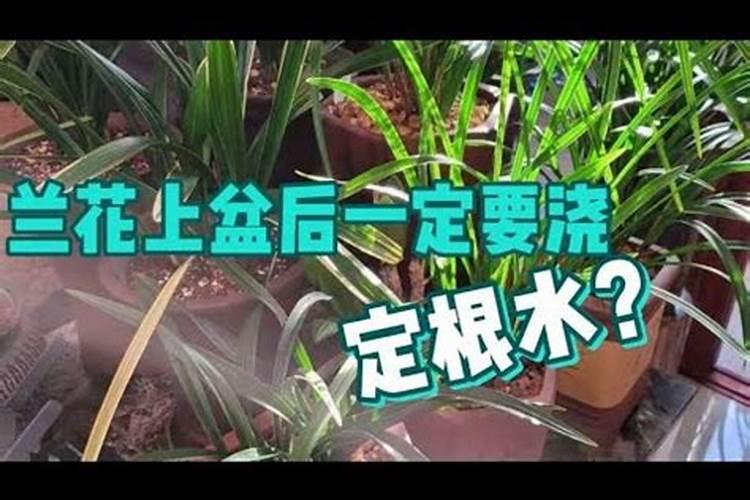 种植水稻氮肥施用过量,都会带来哪些危害？