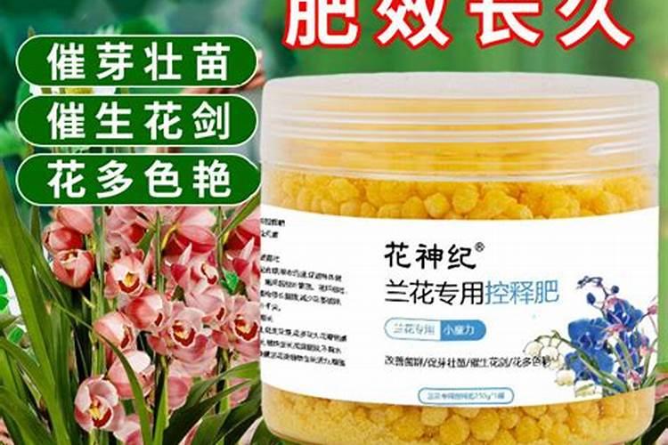 君子兰专用土多少钱