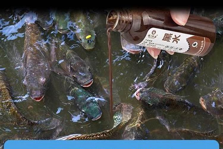 矿源黄腐酸钾为什么要单独使用呢 附使用方法
