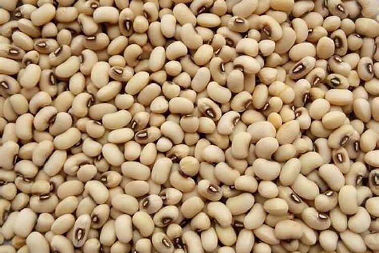 白芸豆花期可以打叶面肥吗？