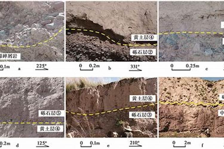花生壳如何养花,用这一方法,变成有机肥,是真的吗？