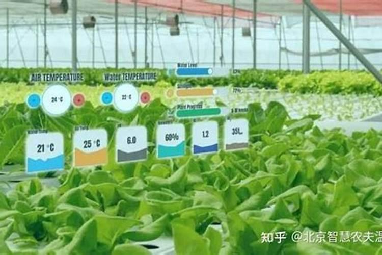 新型肥料可以推进农业可持续发展吗？其重要途径是什么？