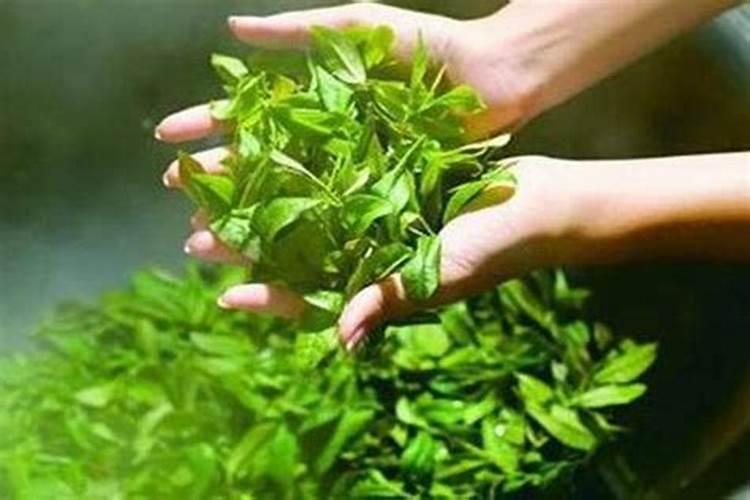 10种自制花肥的方法 自制花肥方法大全