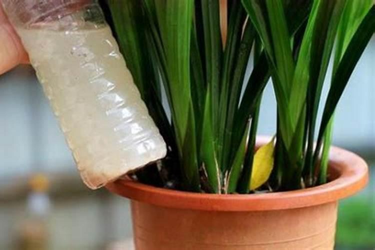 磷酸二氢钾使用方法