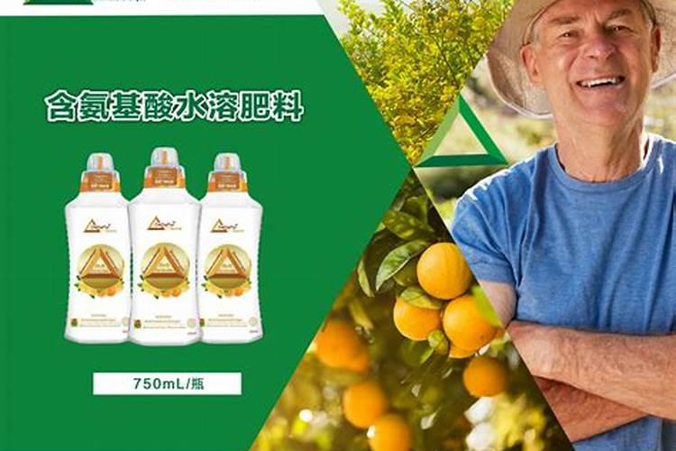叶面肥哪个好