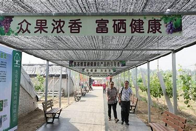 茶叶需要什么肥料？