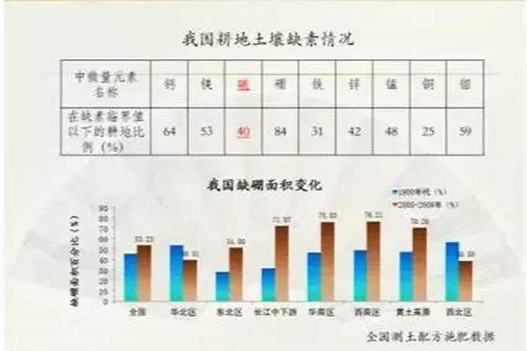 硼肥的用量、作用及使用方法