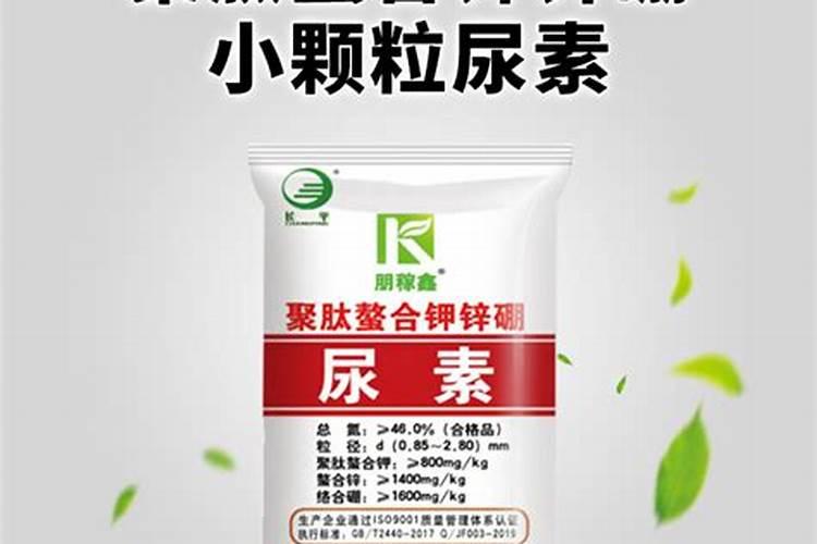 西红柿的种植用什么肥料好