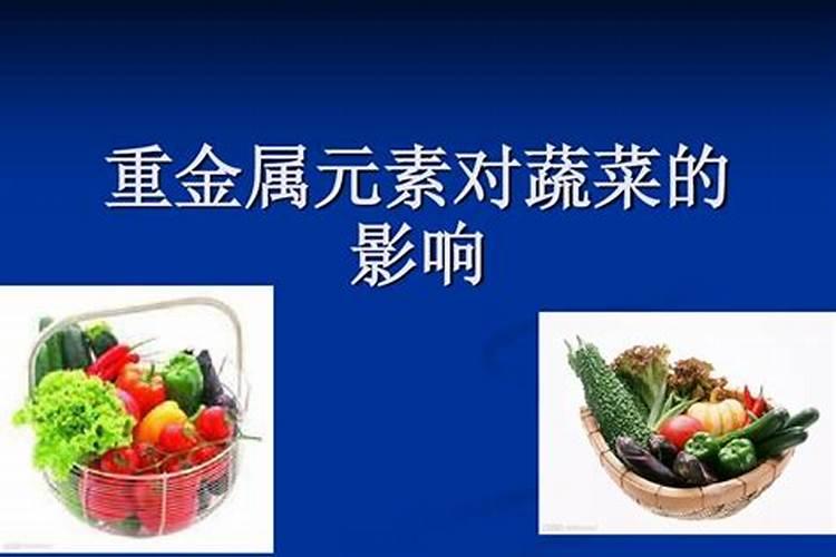 哪些化肥蔬菜不宜施