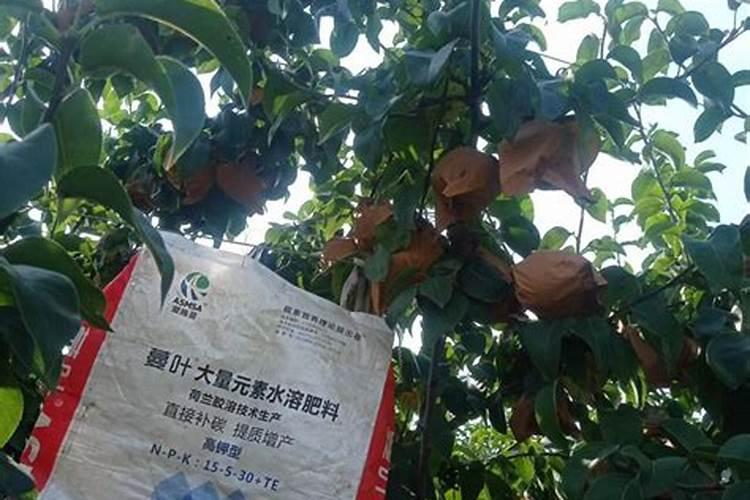 水溶肥原料有哪些