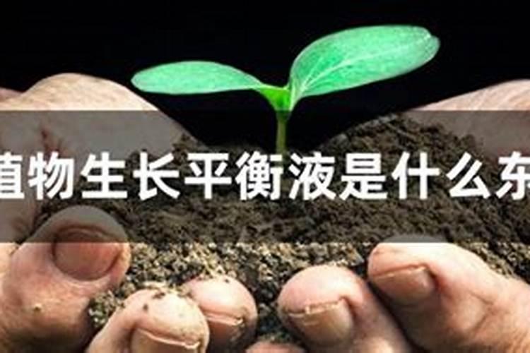 什么是植物营养的平衡施肥？
