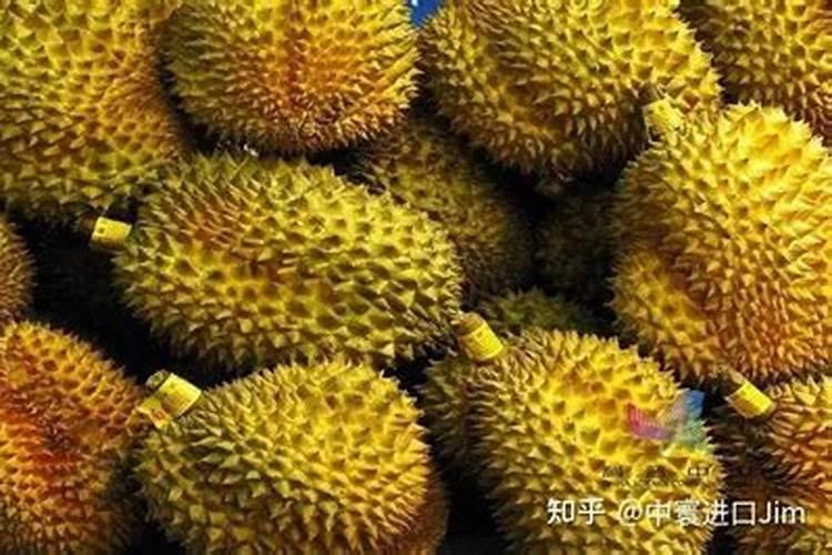 果树叶面肥有哪些