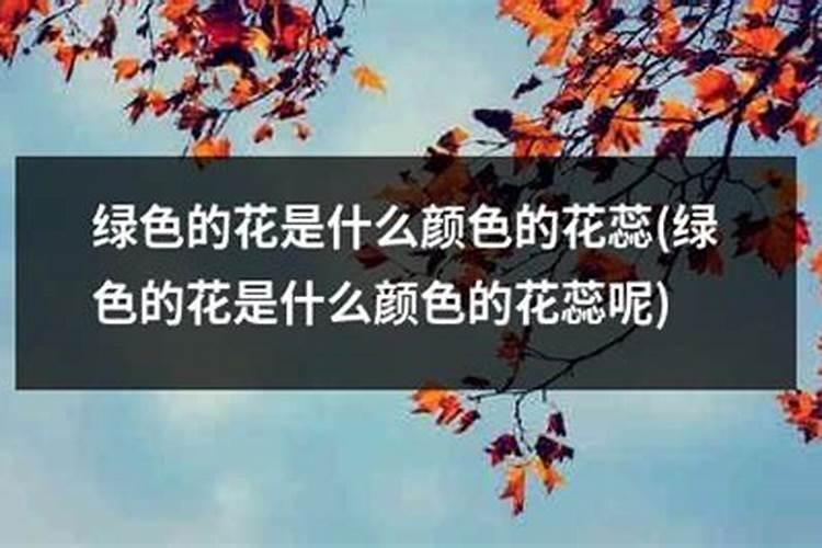 新买的绿萝土里面有绿色的颗粒,按破里面是白色的液体。这是什么东西的...