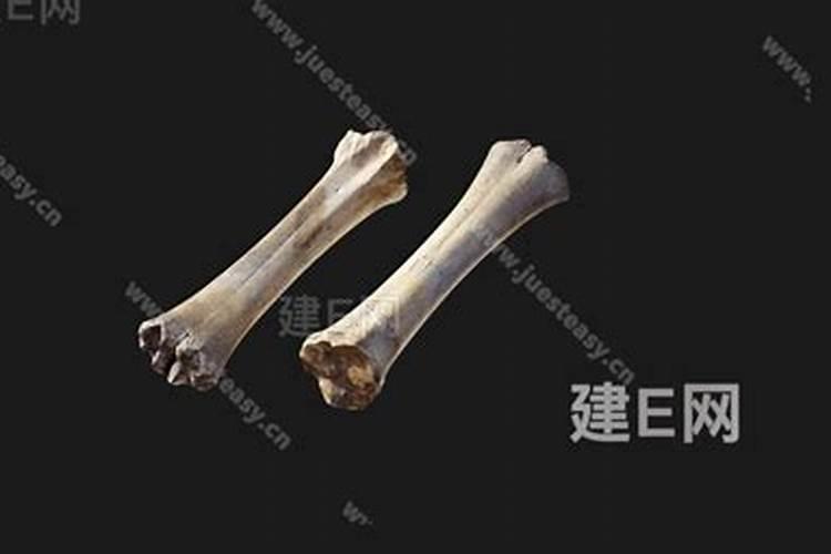 花肥磷肥有哪些