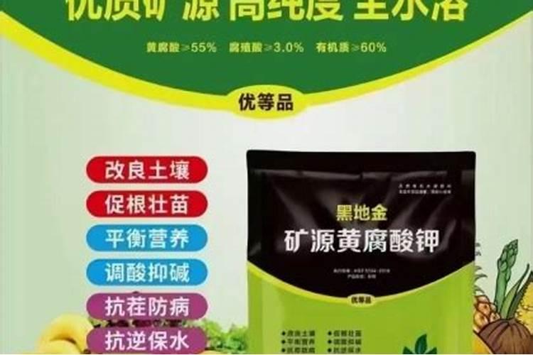 甜瓜用什么肥料好甜瓜的施肥技术